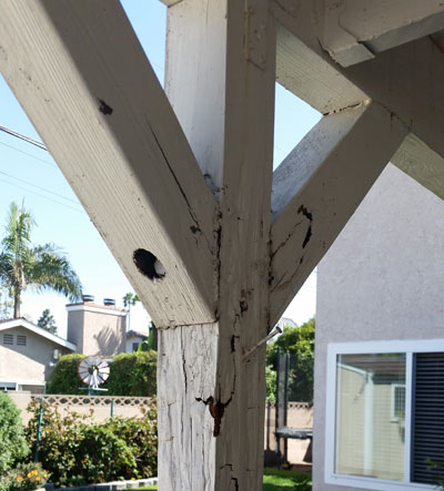 Wood Patio Covers & Pergolas Rancho Santa Margarita Dry Rot and Termite Repair